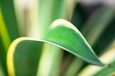 或定档7月30日 传闻7月末任天堂直面会将揭晓《p3r》